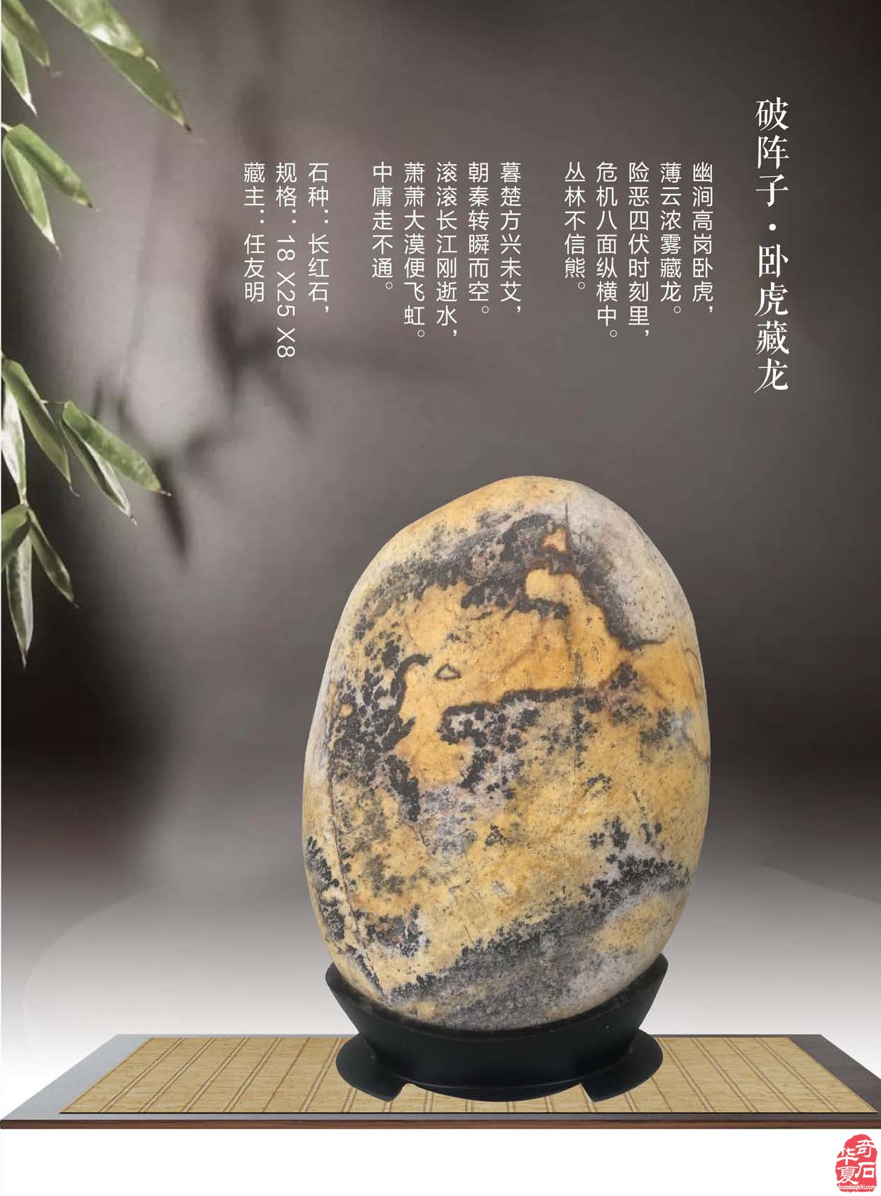 登录《于公赏石》赏美石逛展会