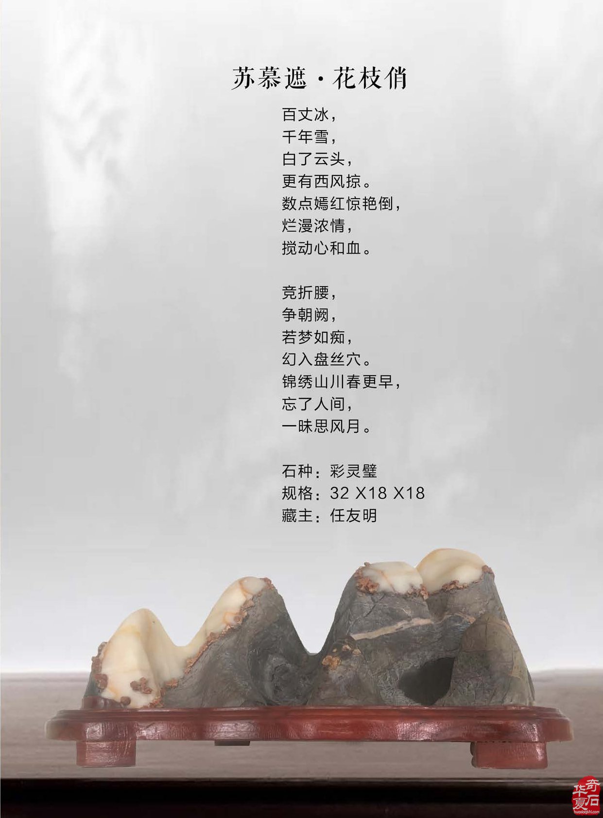 登录《于公赏石》赏美石逛展会