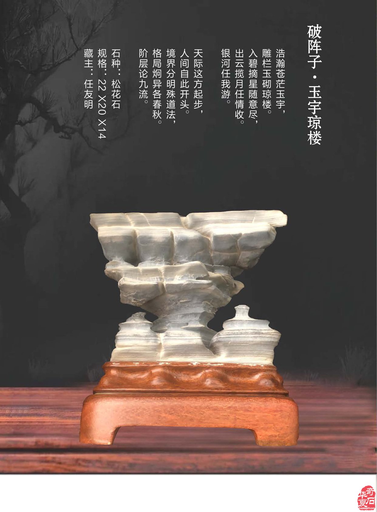 登录《于公赏石》赏美石逛展会
