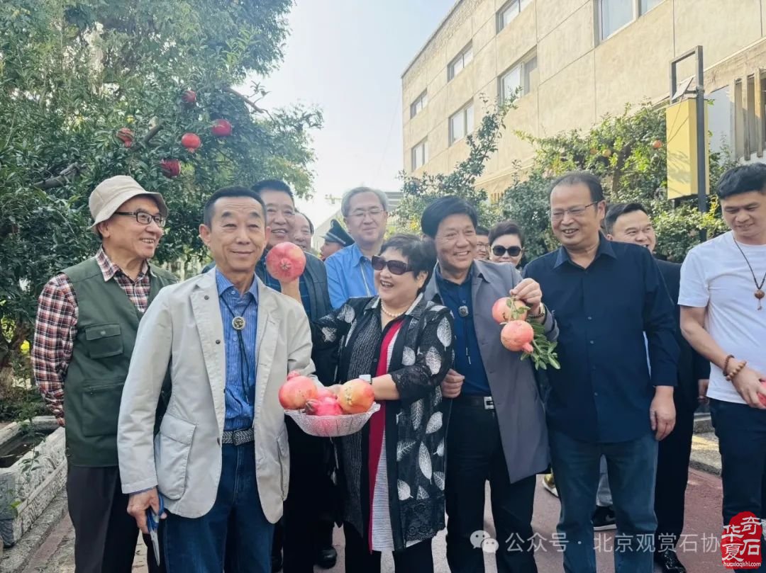 第四届中石协赏石艺术双年展第七届中国（咸阳）赏石文化旅游活动盛大开幕