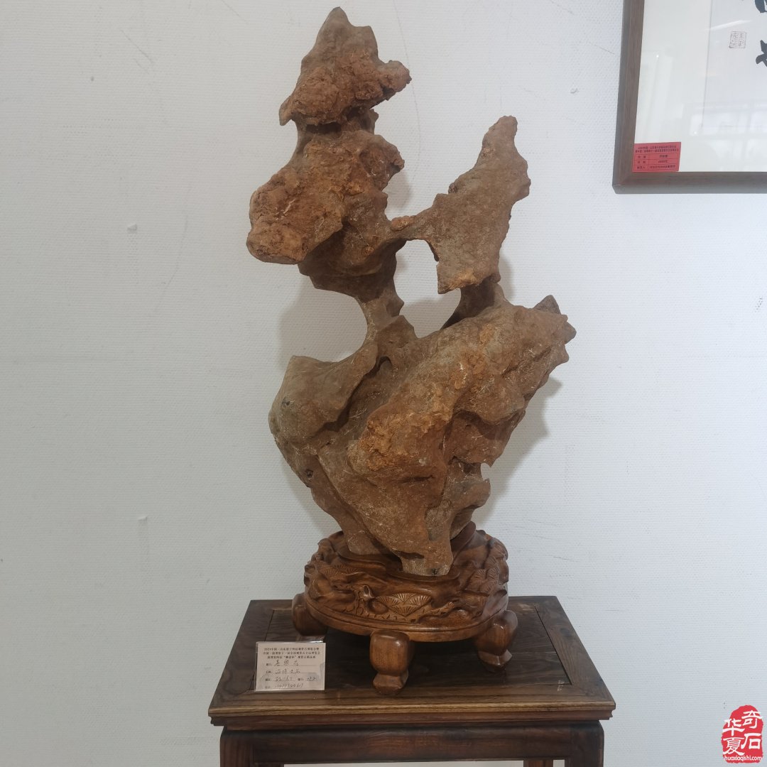山东淄博观赏石文玩博览会精品展作品欣赏