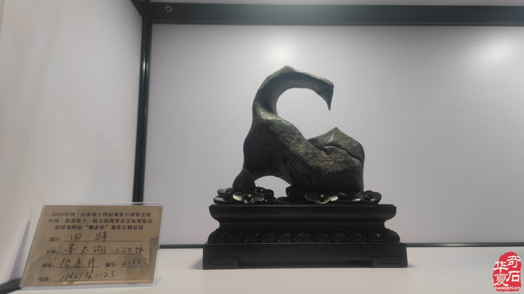 山东淄博观赏石文玩博览会精品展作品欣赏