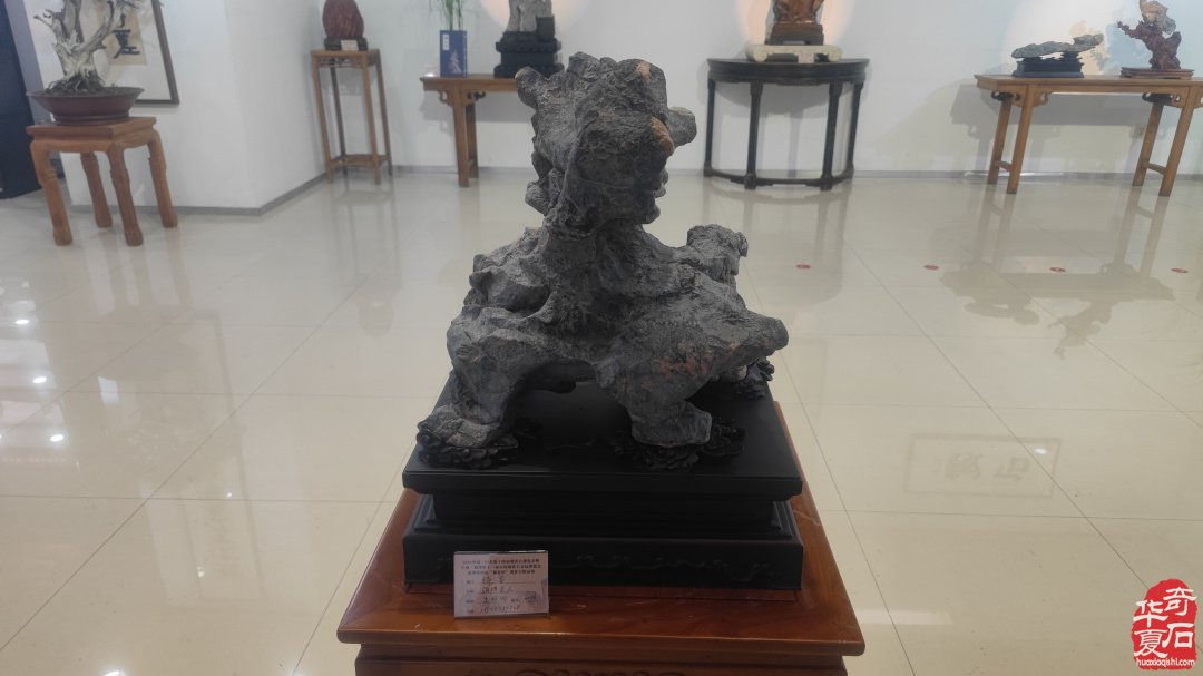 山东淄博观赏石文玩博览会精品展作品欣赏