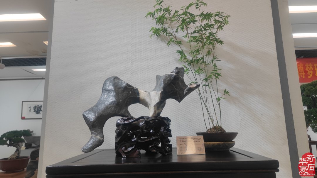 山东淄博观赏石文玩博览会精品展作品欣赏