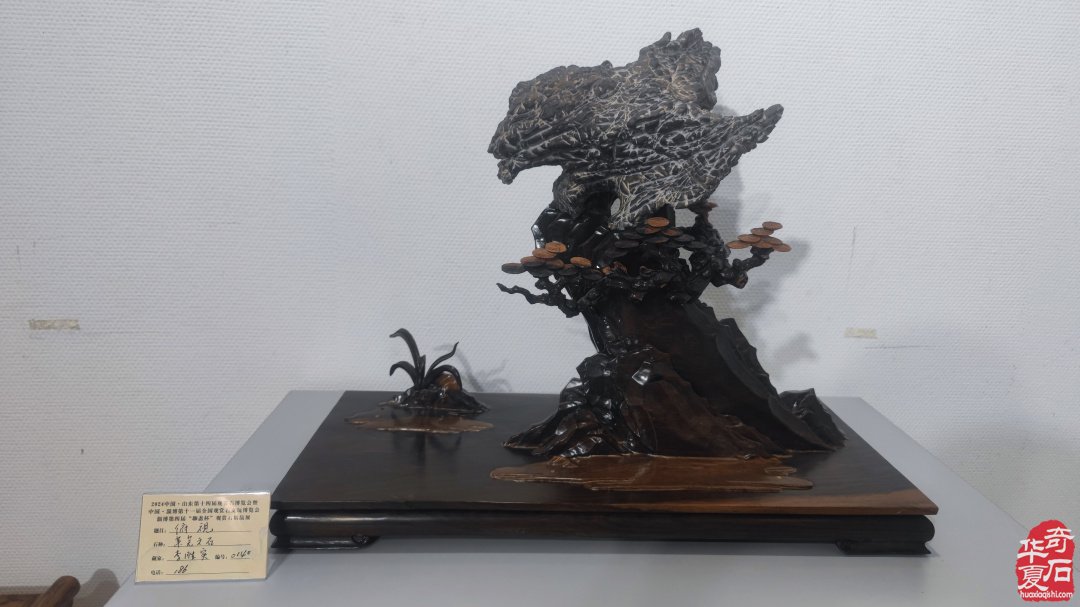 山东淄博观赏石文玩博览会精品展作品欣赏