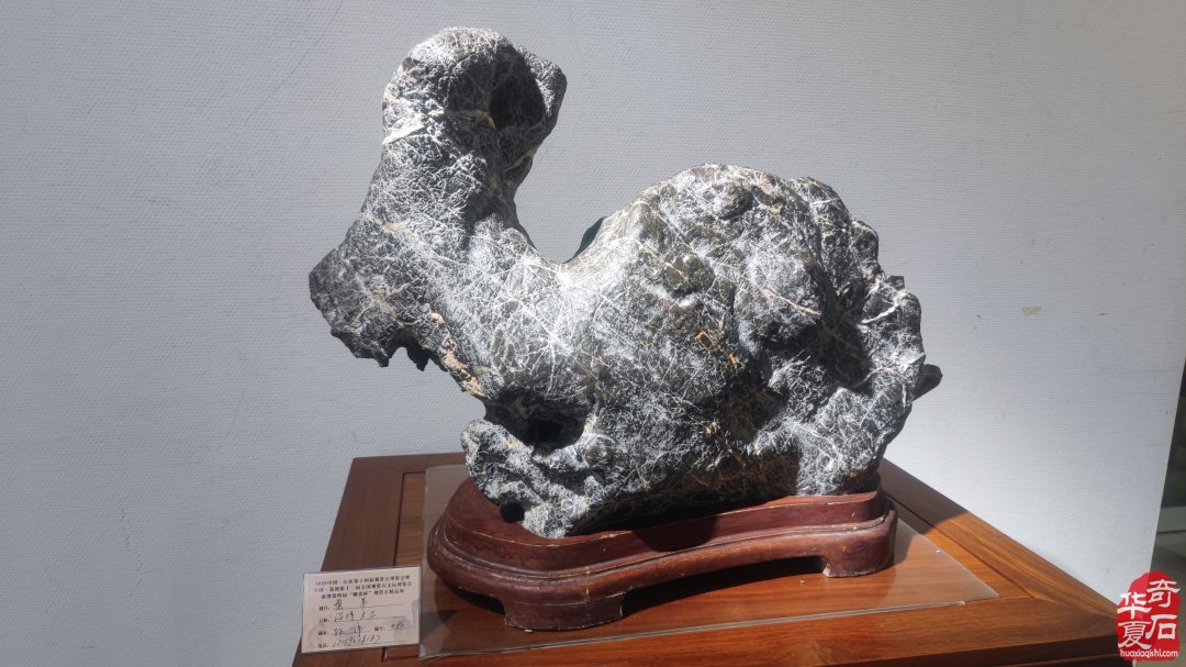 山东淄博观赏石文玩博览会精品展作品欣赏