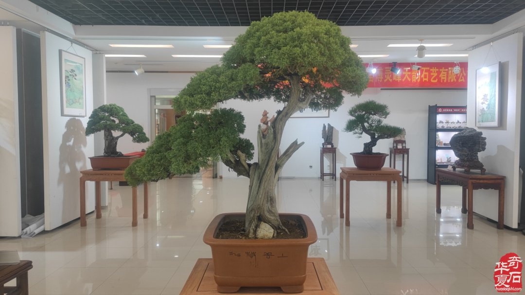 山东淄博观赏石文玩博览会精品展作品欣赏