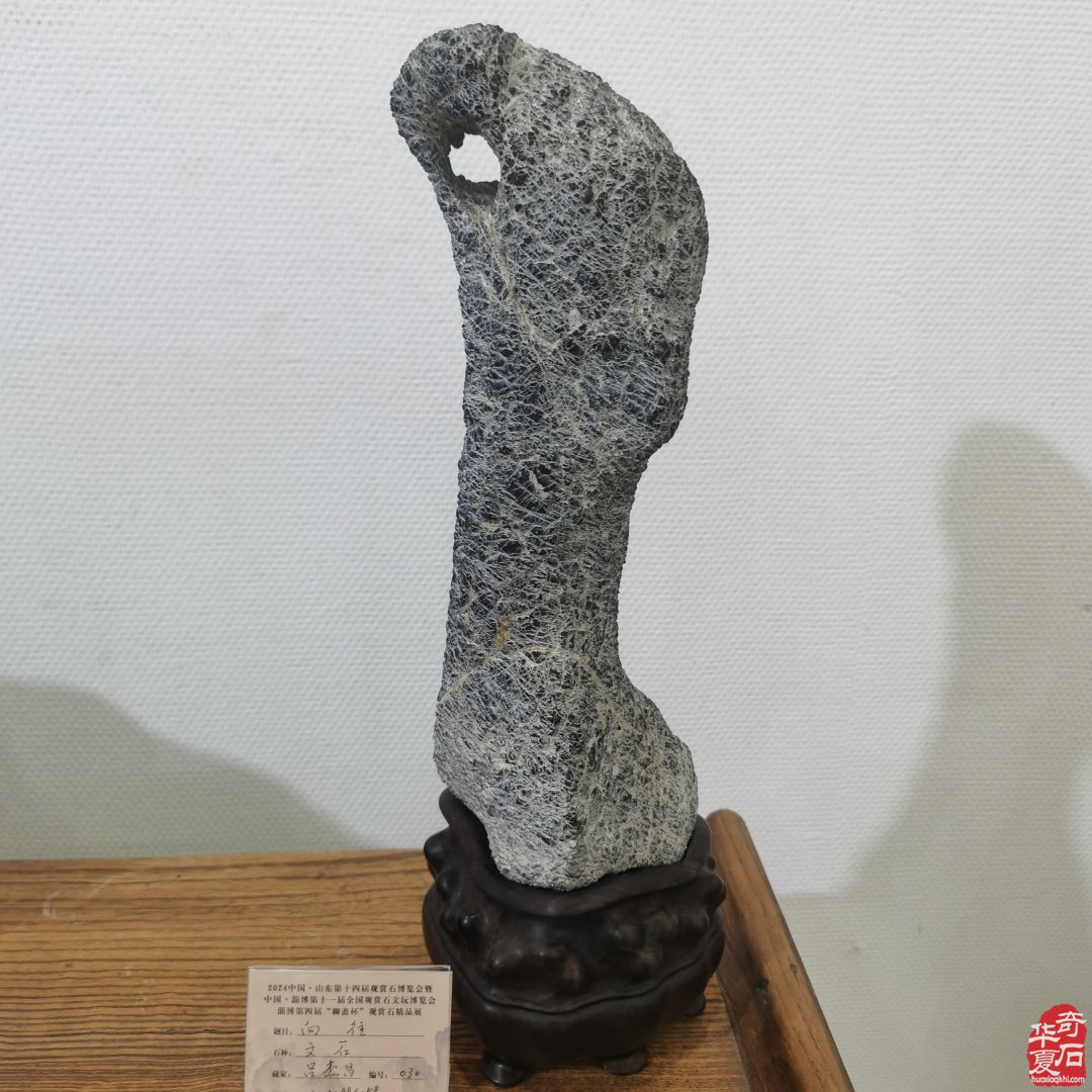 山东淄博观赏石文玩博览会精品展作品欣赏