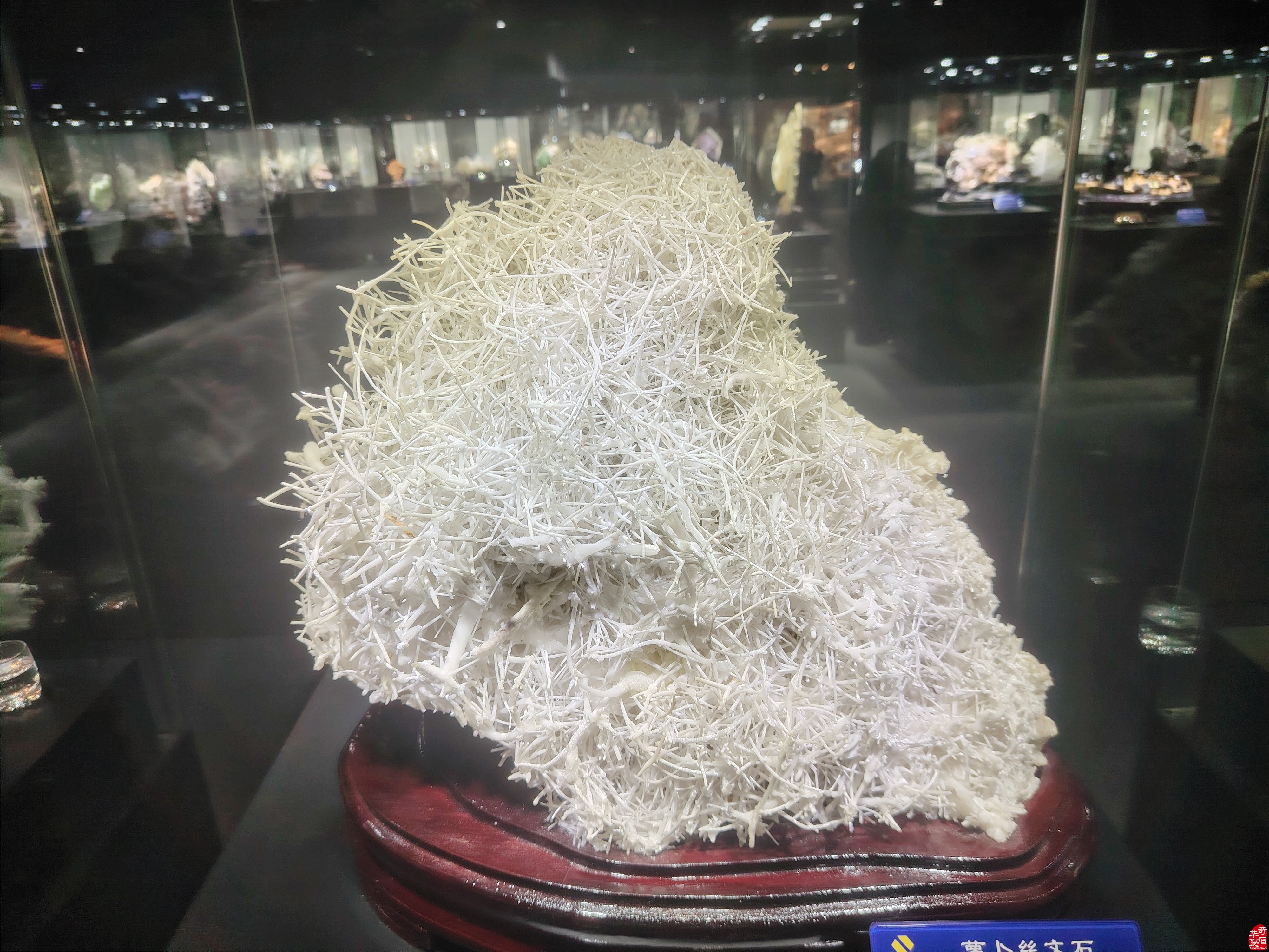 石界又添耀眼明珠：洛阳市地质博物馆