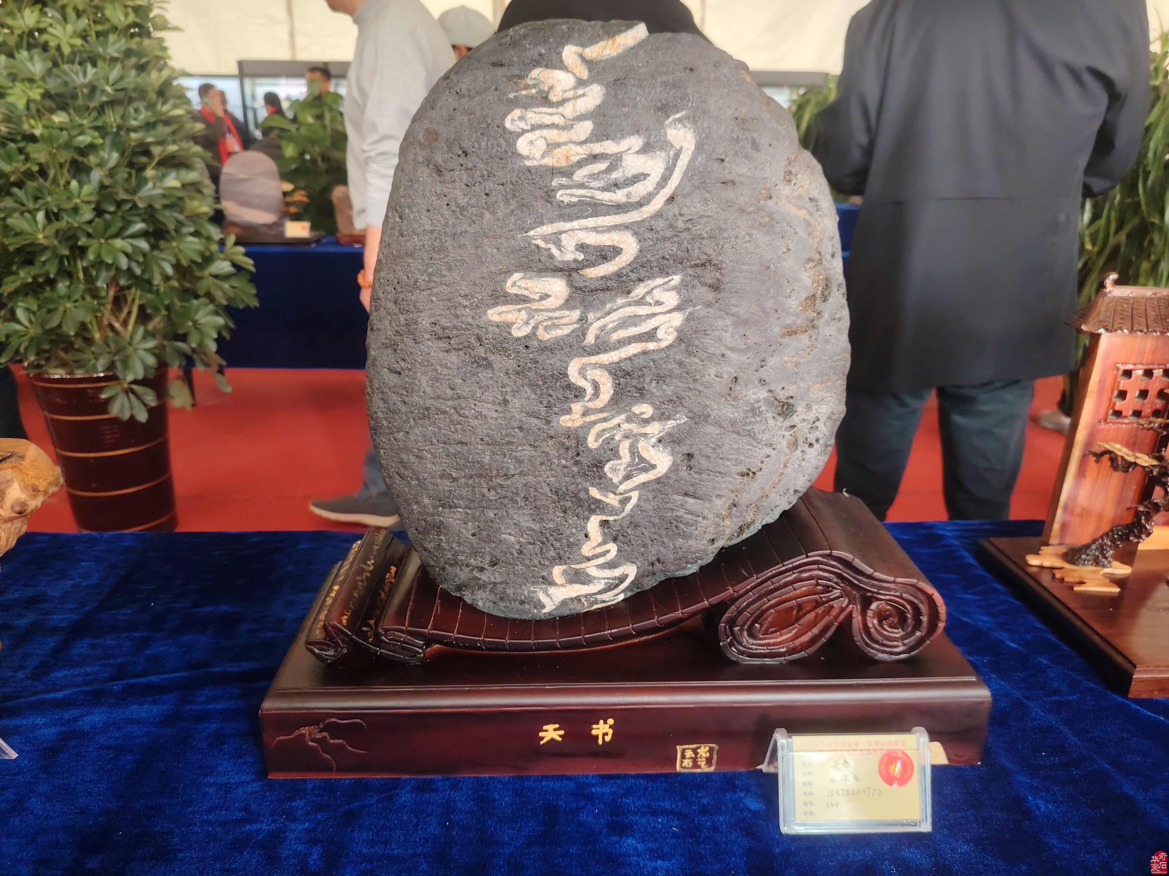 2024中国河南首届•平顶山观赏石，宝玉石文化艺术博览会隆重开幕