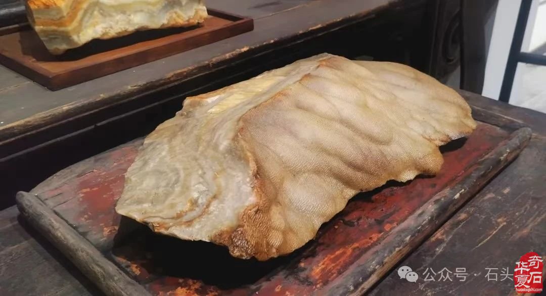 热烈祝贺河南首届·平顶山 观赏石宝玉石文化艺术博览会 圆满成功