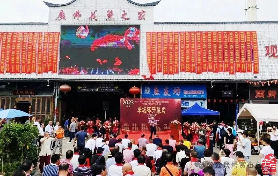 广州·广佛赏石文化博览会·奇石竞拍作品征集(11月9日隆重开幕!)