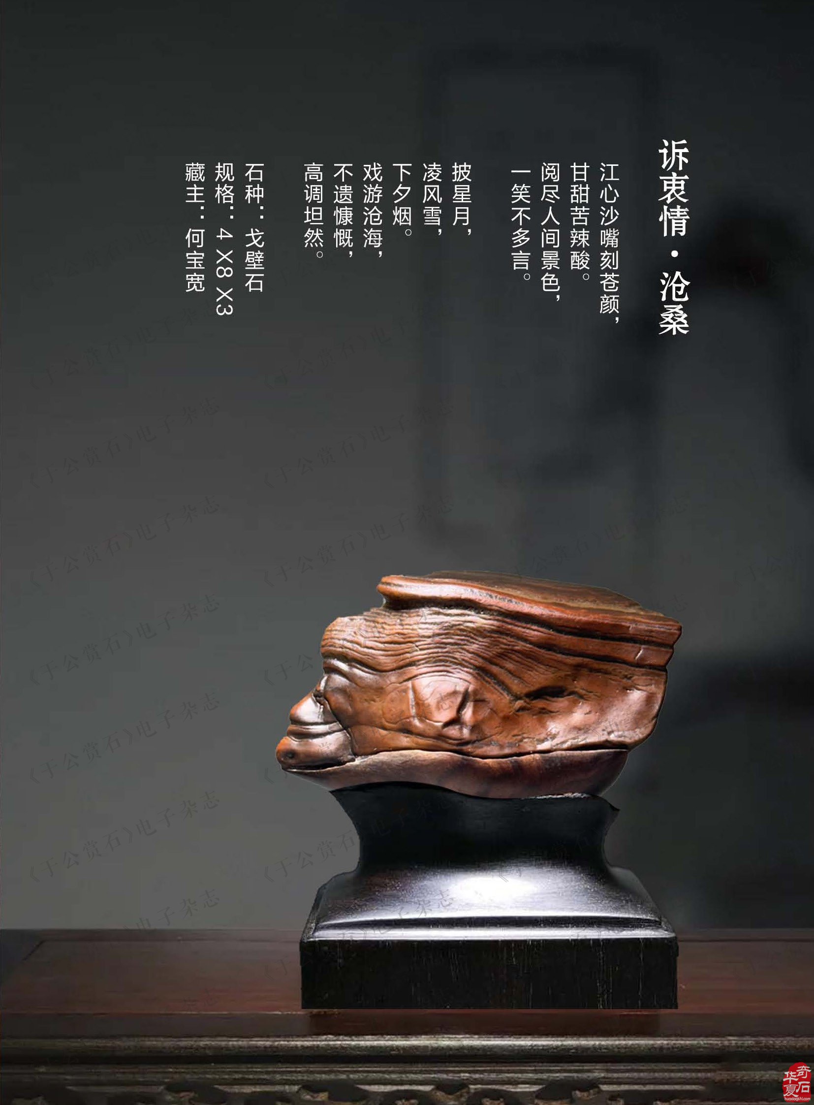 喜闻乐见的《于公赏石》电子版杂志来了