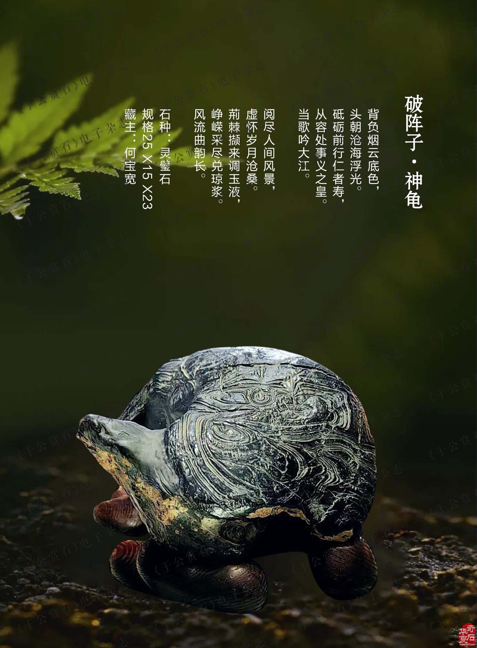 喜闻乐见的《于公赏石》电子版杂志来了