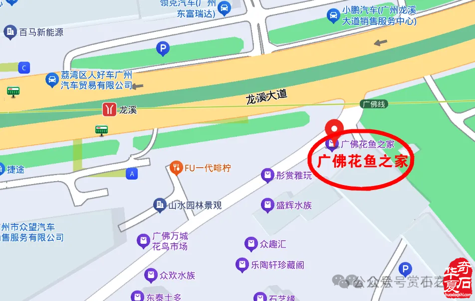 广州·广佛赏石博览会明天开展——附：“羊城杯”参展作品选欣赏