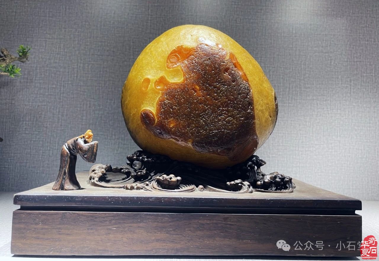 广州·广佛赏石博览会明天开展——附：“羊城杯”参展作品选欣赏
