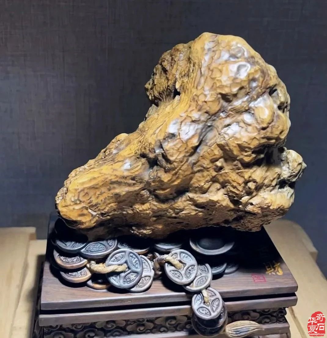 广州·广佛赏石博览会明天开展——附：“羊城杯”参展作品选欣赏