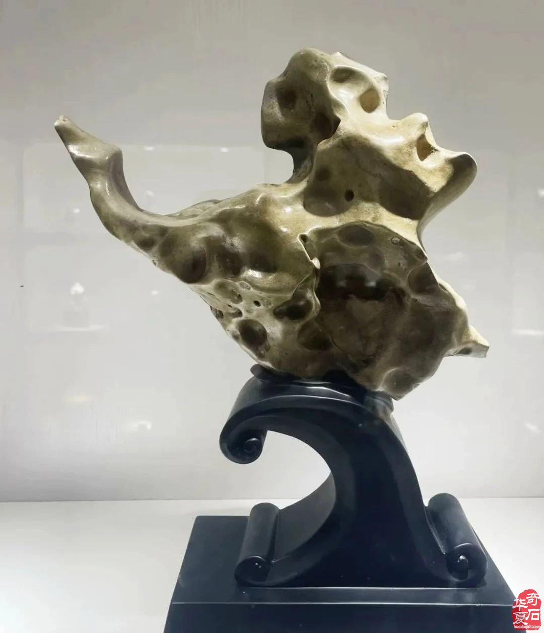 广州·广佛赏石博览会明天开展——附：“羊城杯”参展作品选欣赏