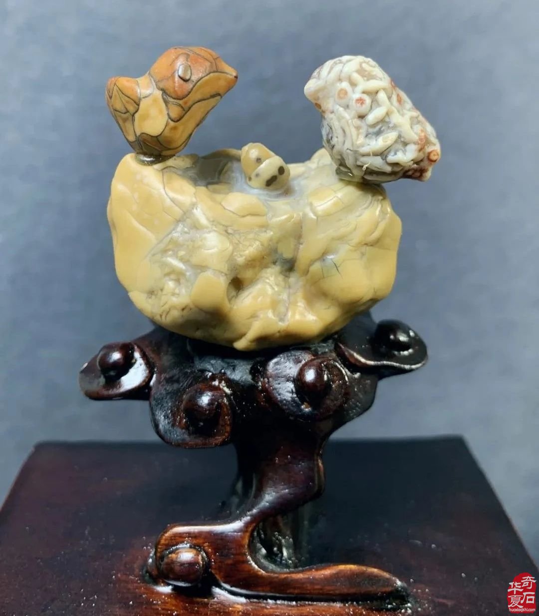 广州·广佛赏石博览会明天开展——附：“羊城杯”参展作品选欣赏