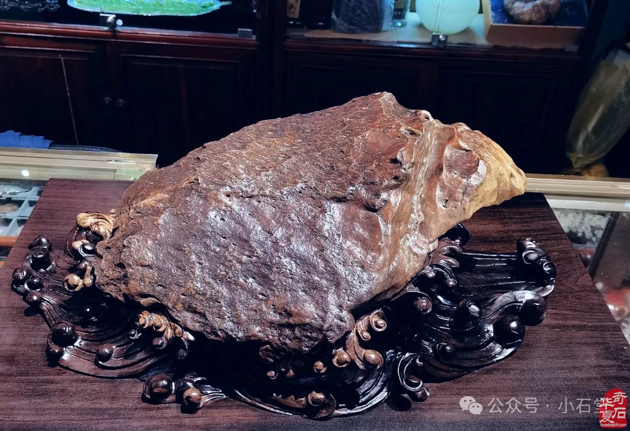 广州·广佛赏石博览会明天开展——附：“羊城杯”参展作品选欣赏