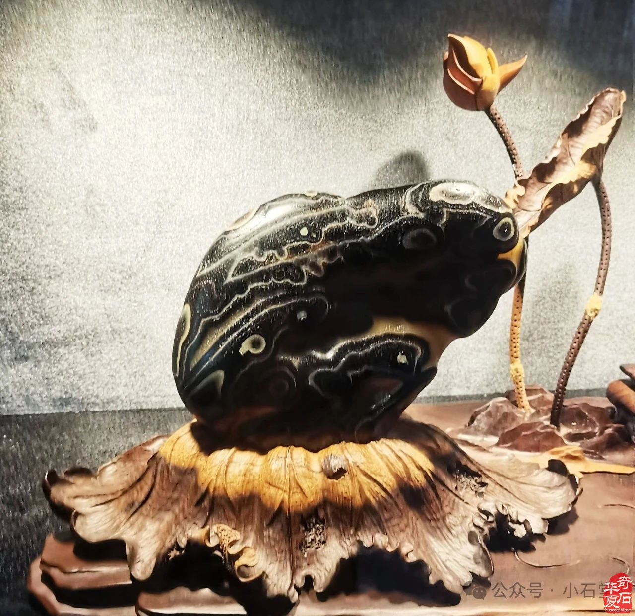 广州·广佛赏石博览会明天开展——附：“羊城杯”参展作品选欣赏