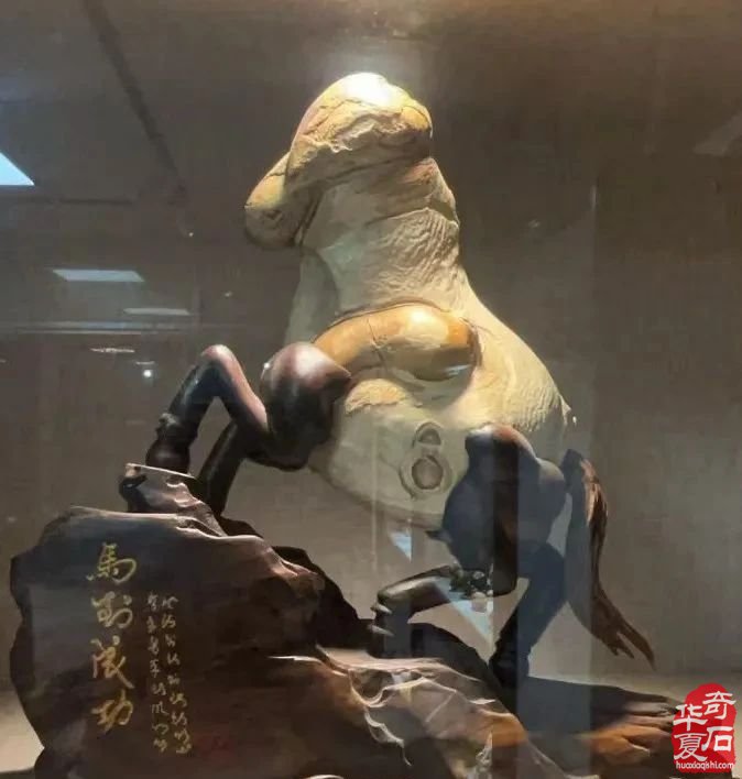 广州·广佛赏石博览会明天开展——附：“羊城杯”参展作品选欣赏