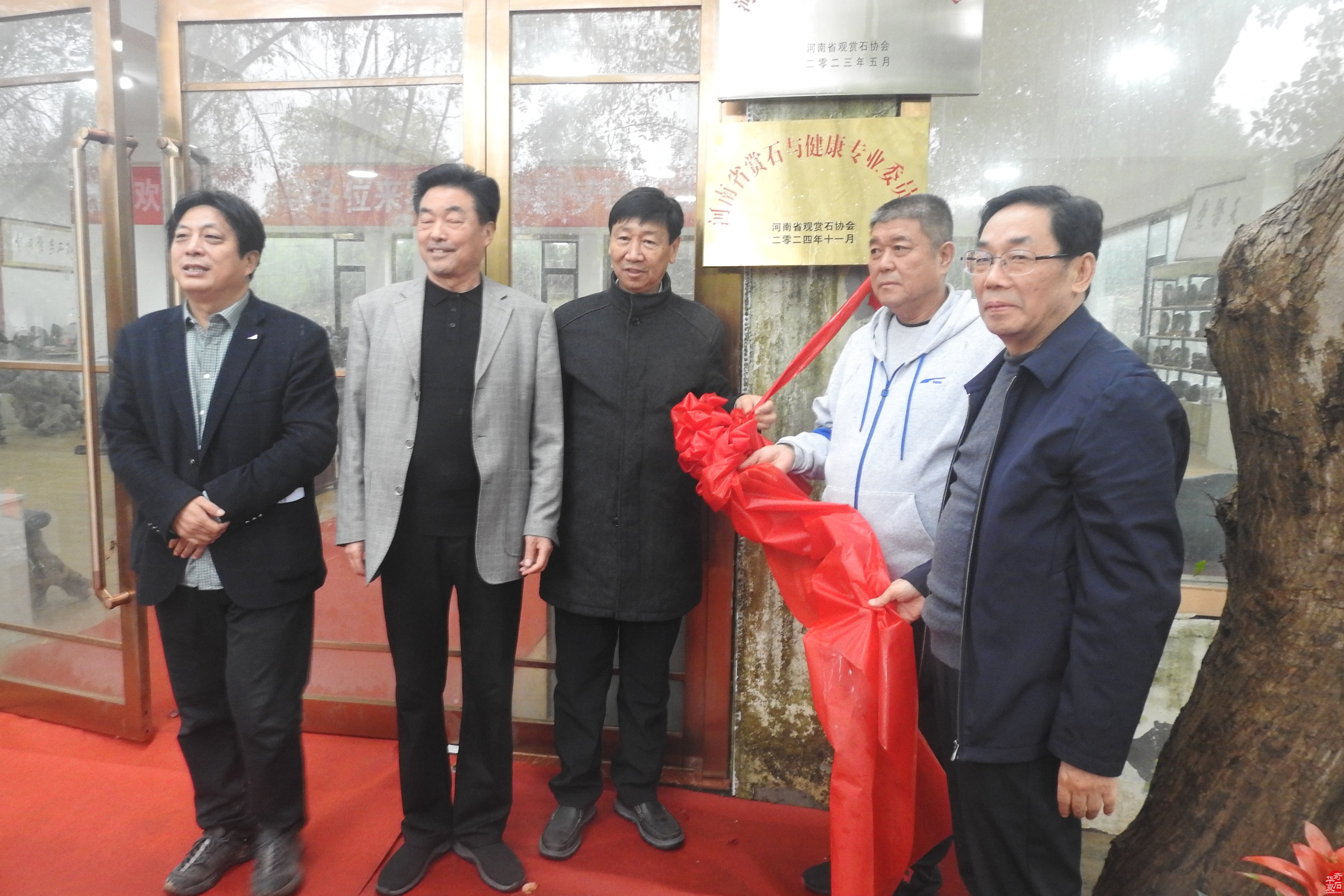 河南省观赏石协会赏石与健康专委会挂牌仪式在淅川县举行