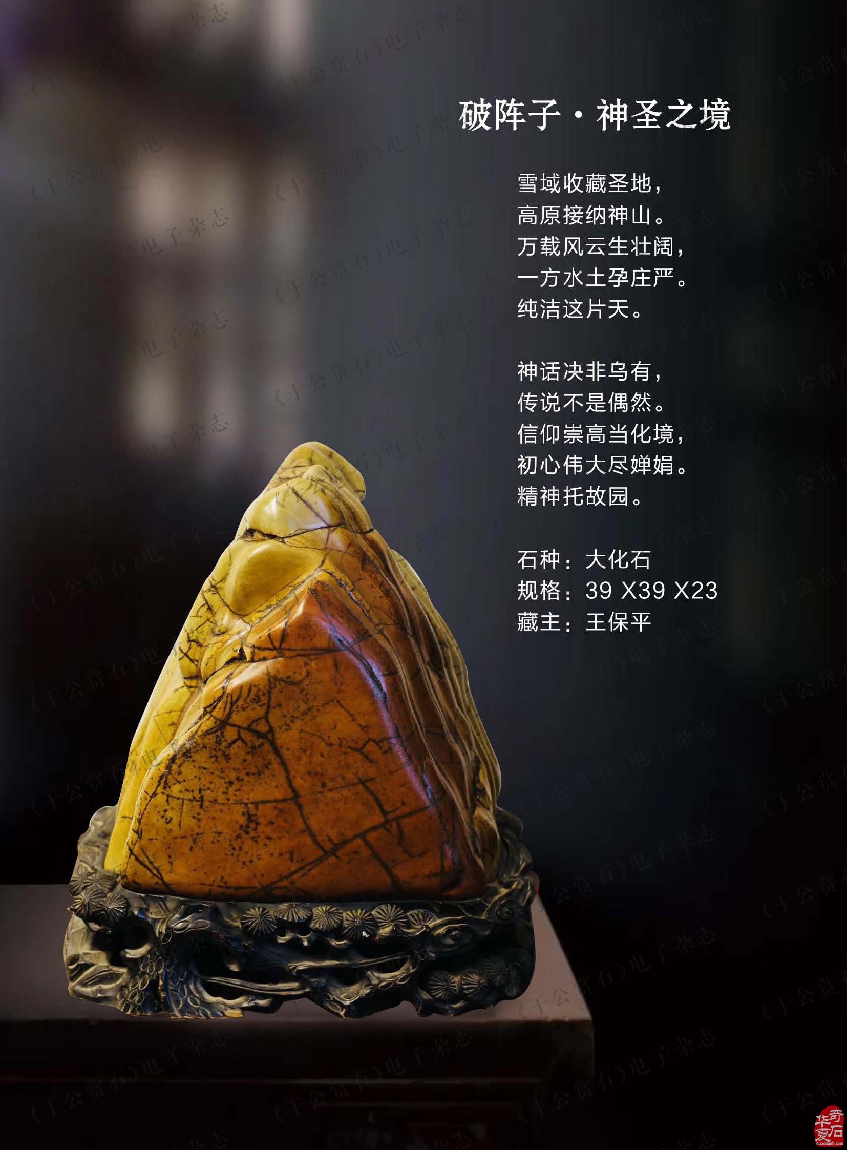上《于公赏石》看行家论述文化传统文化文化赏石