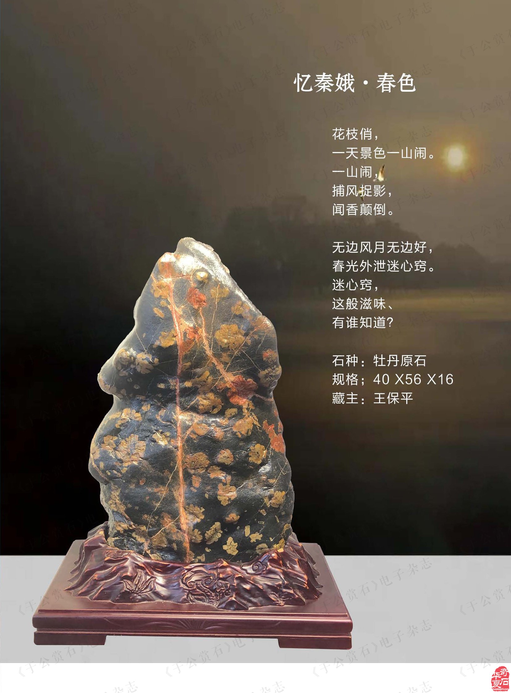 上《于公赏石》看行家论述文化传统文化文化赏石