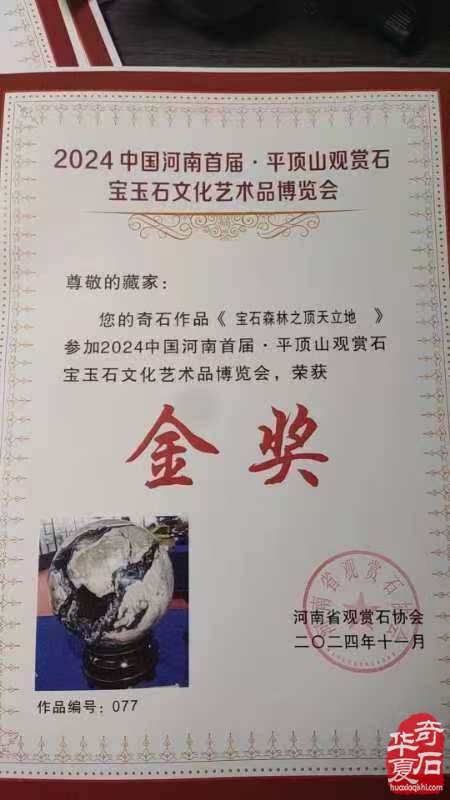 《火山石林》2024 赏石颁奖沙龙专题