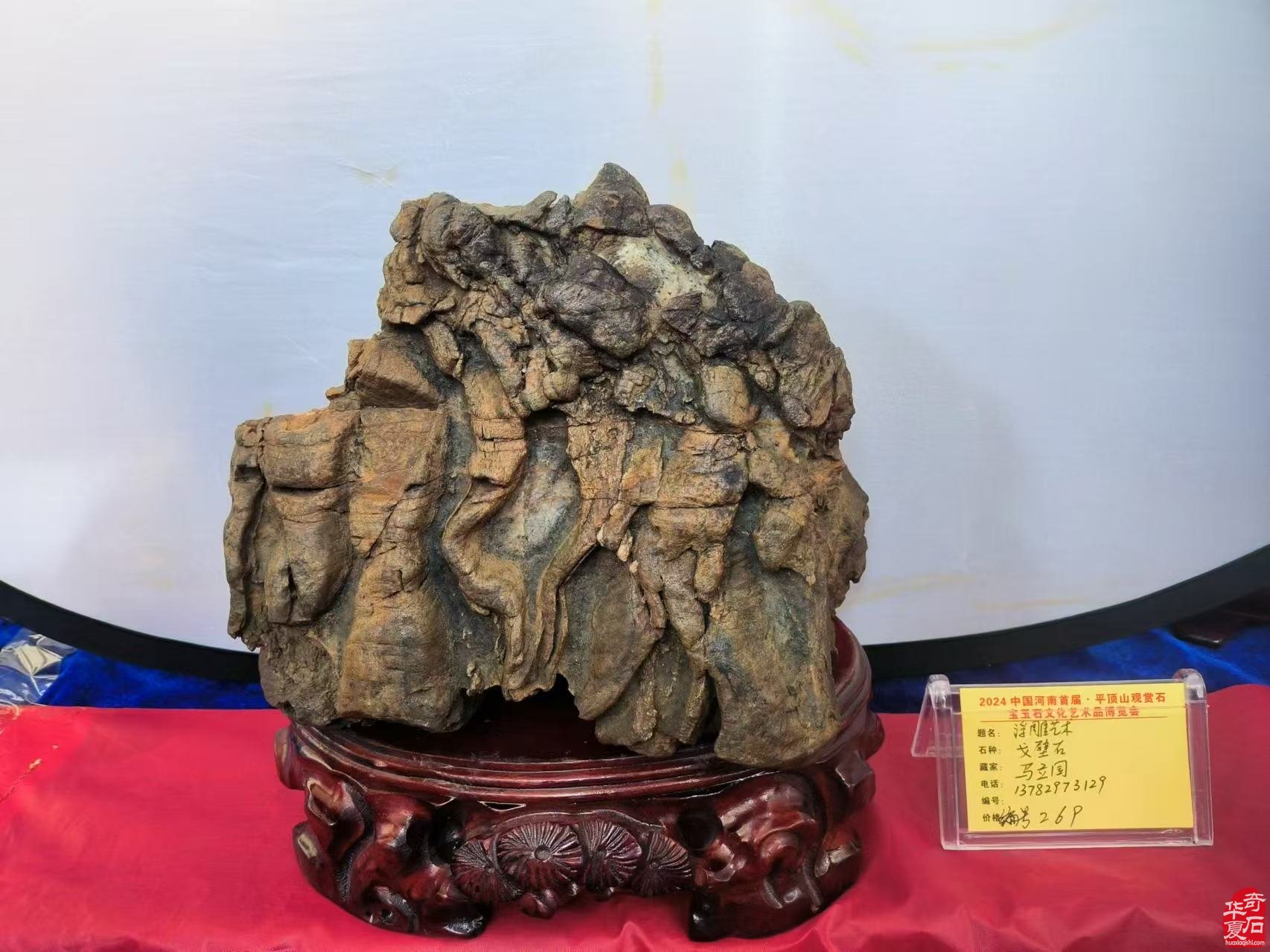 《火山石林》2024 赏石颁奖沙龙专题
