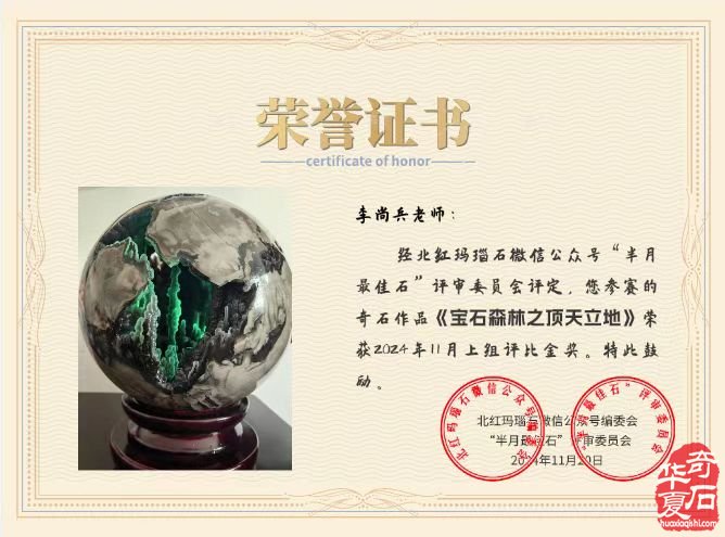 《火山石林》2024 赏石颁奖沙龙专题