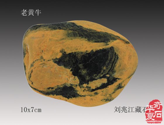 十二生肖石中现，栩栩如生让人羡 