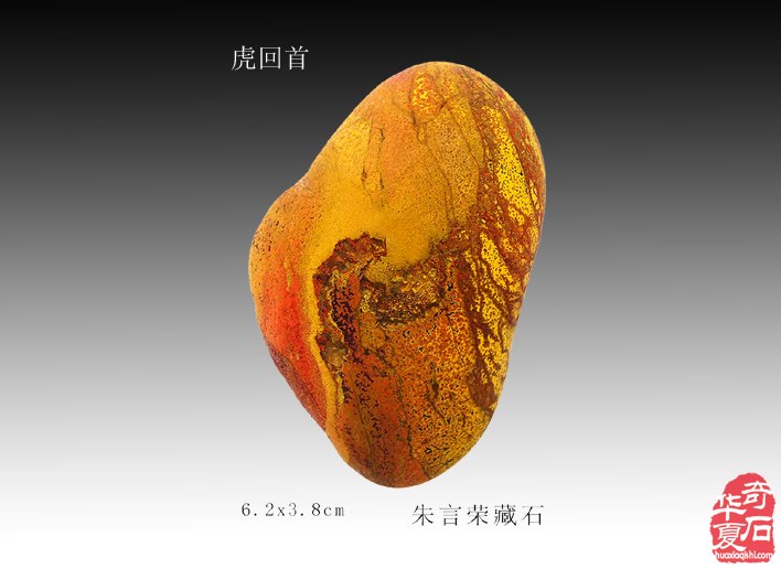 十二生肖石中现，栩栩如生让人羡 