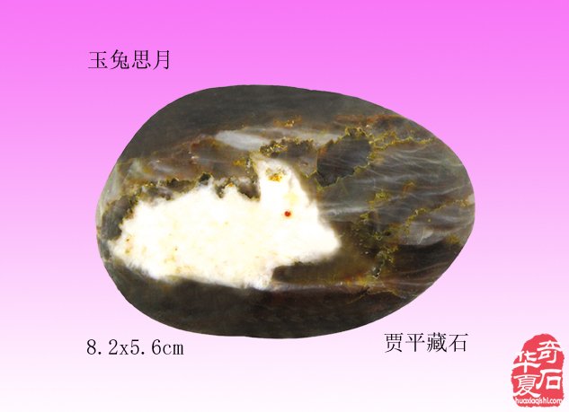 十二生肖石中现，栩栩如生让人羡 