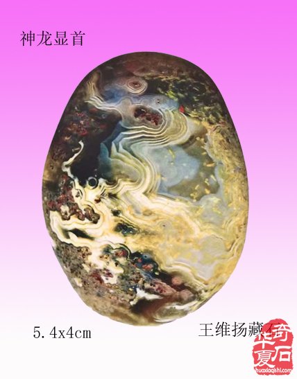 十二生肖石中现，栩栩如生让人羡 