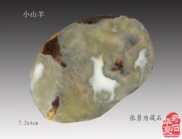 十二生肖石中现，栩栩如生让人羡 