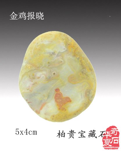 十二生肖石中现，栩栩如生让人羡 