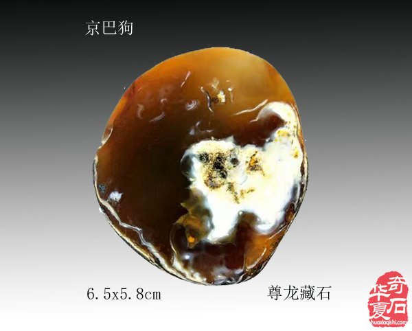 十二生肖石中现，栩栩如生让人羡 
