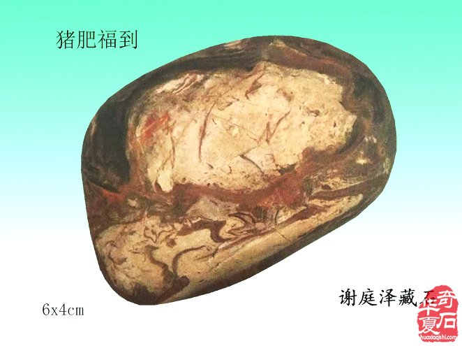 十二生肖石中现，栩栩如生让人羡 