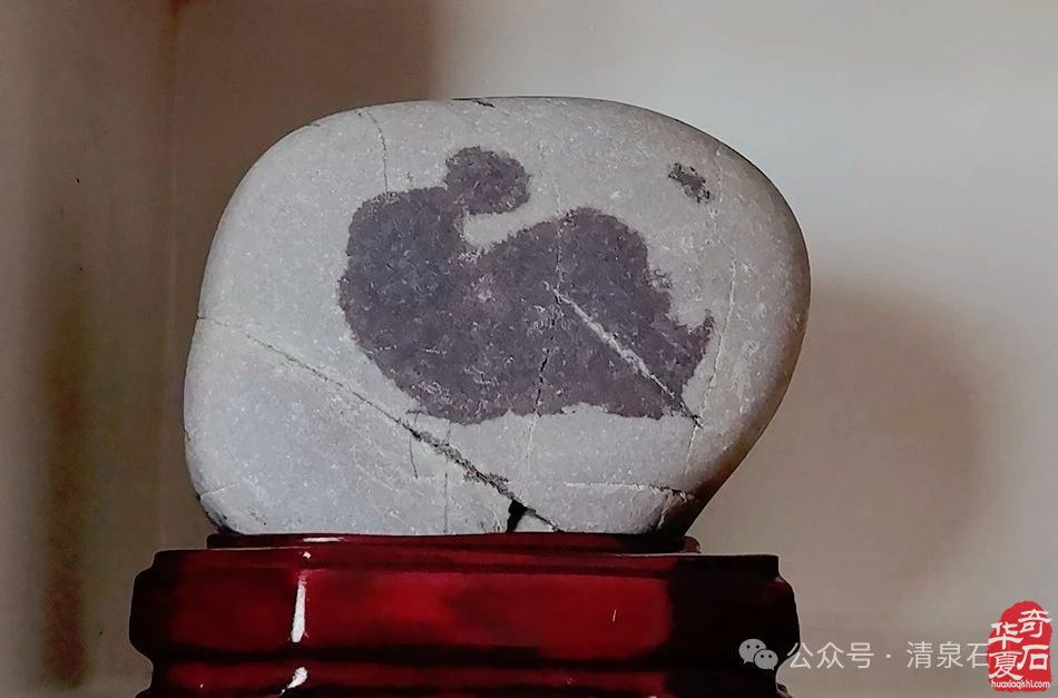 偌大一座兰州城藏着多少石头的传奇