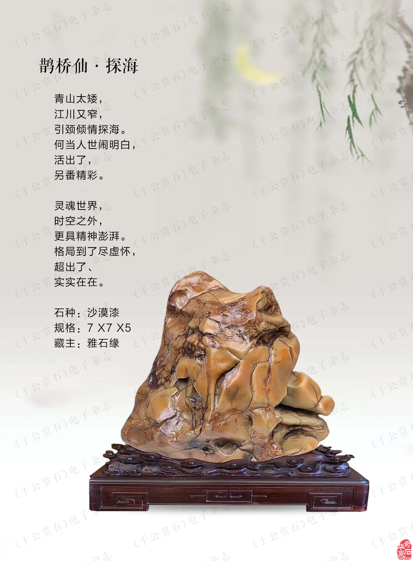 打开《于公赏石》品雅石缘赏石