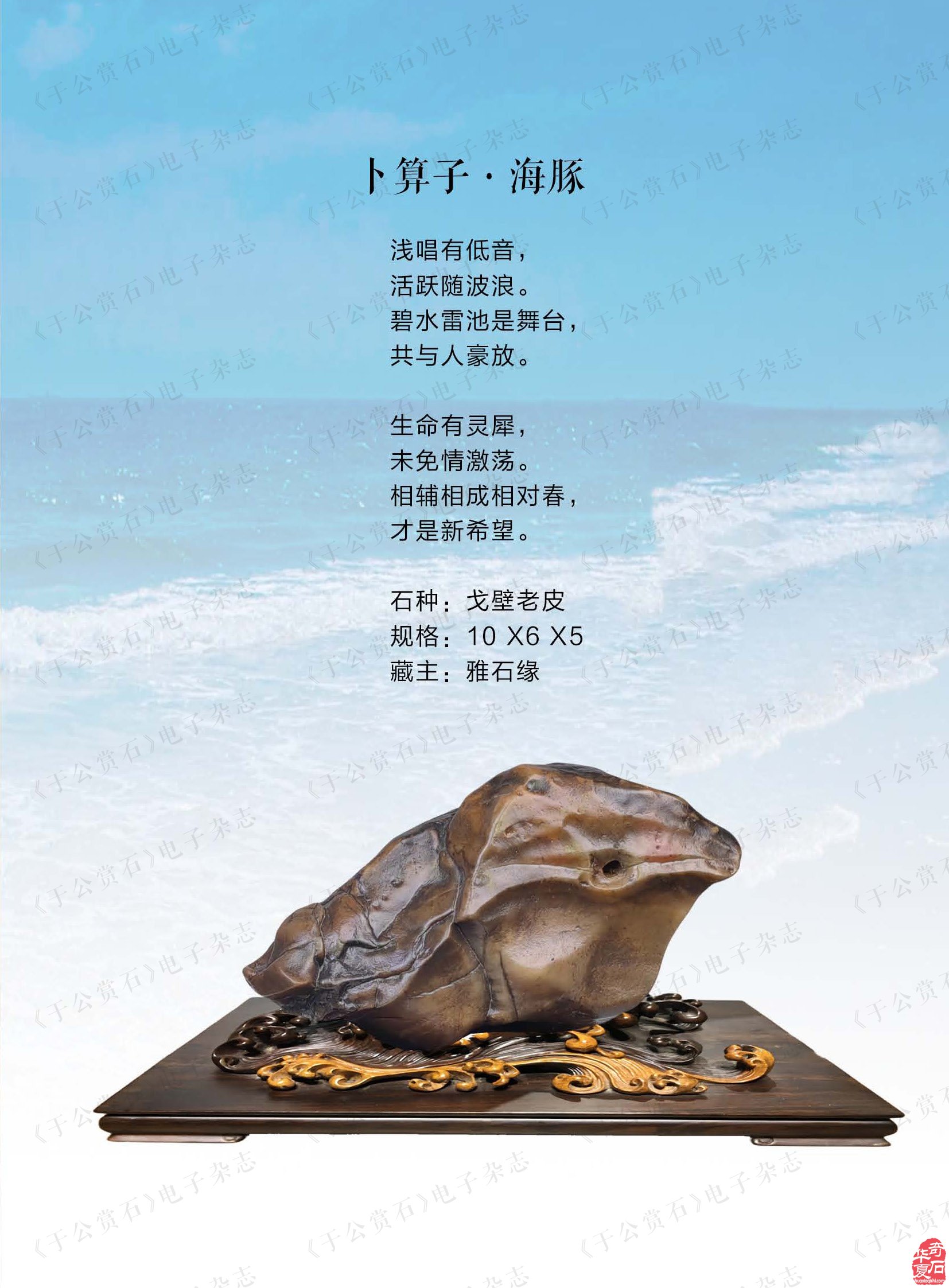 打开《于公赏石》品雅石缘赏石