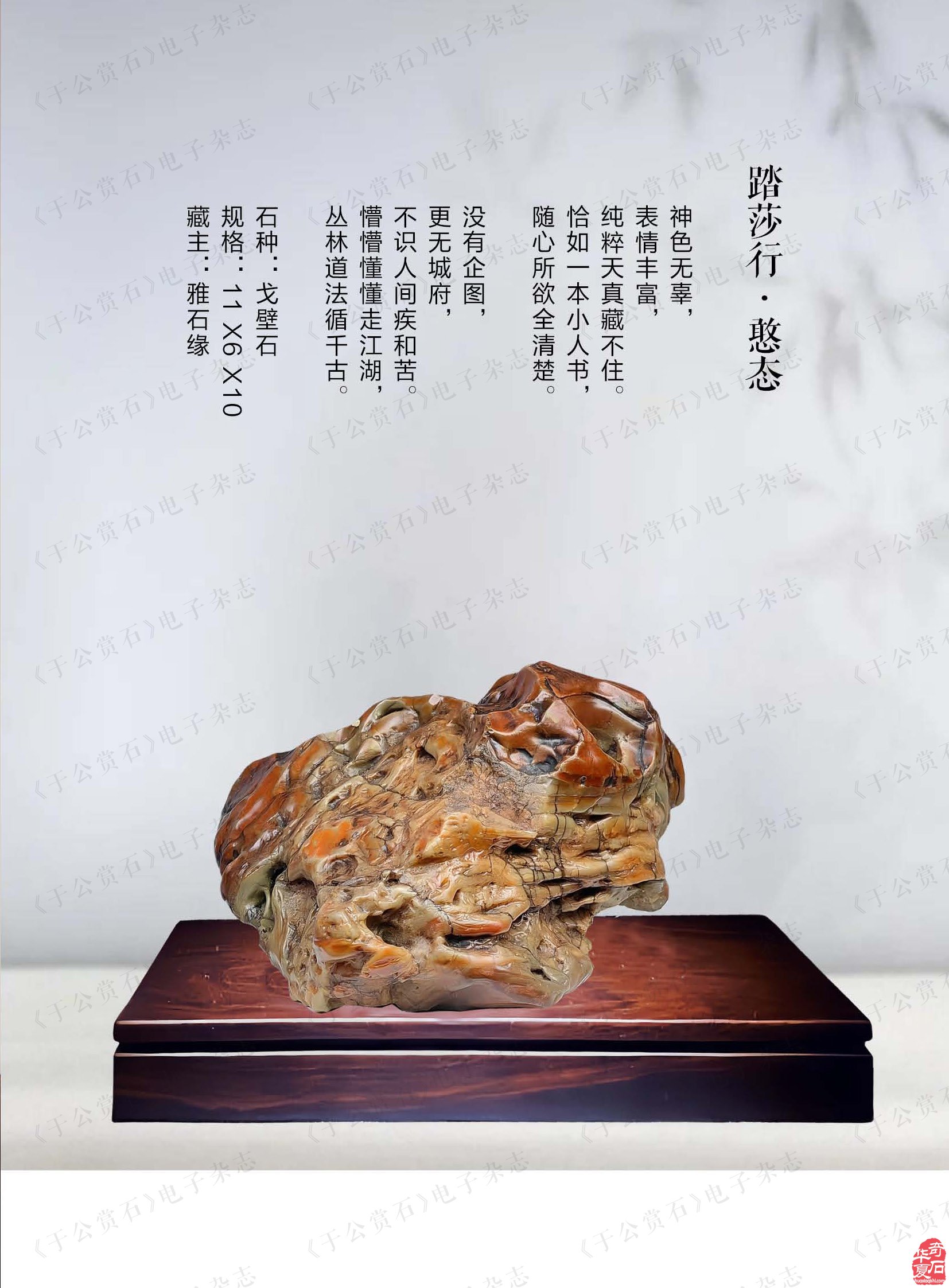 打开《于公赏石》品雅石缘赏石