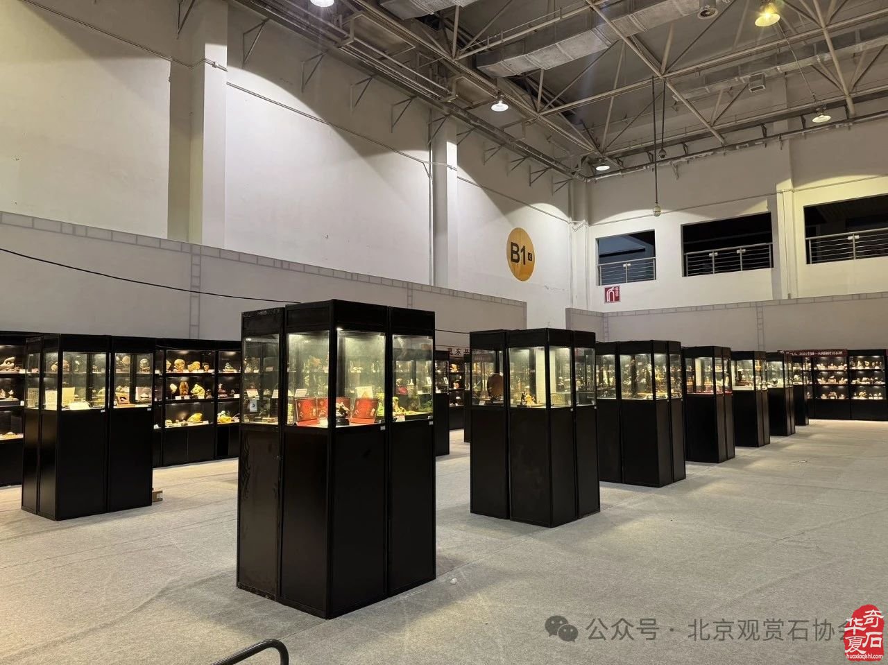2024中国·湾区陈村名石艺术展隆重开幕