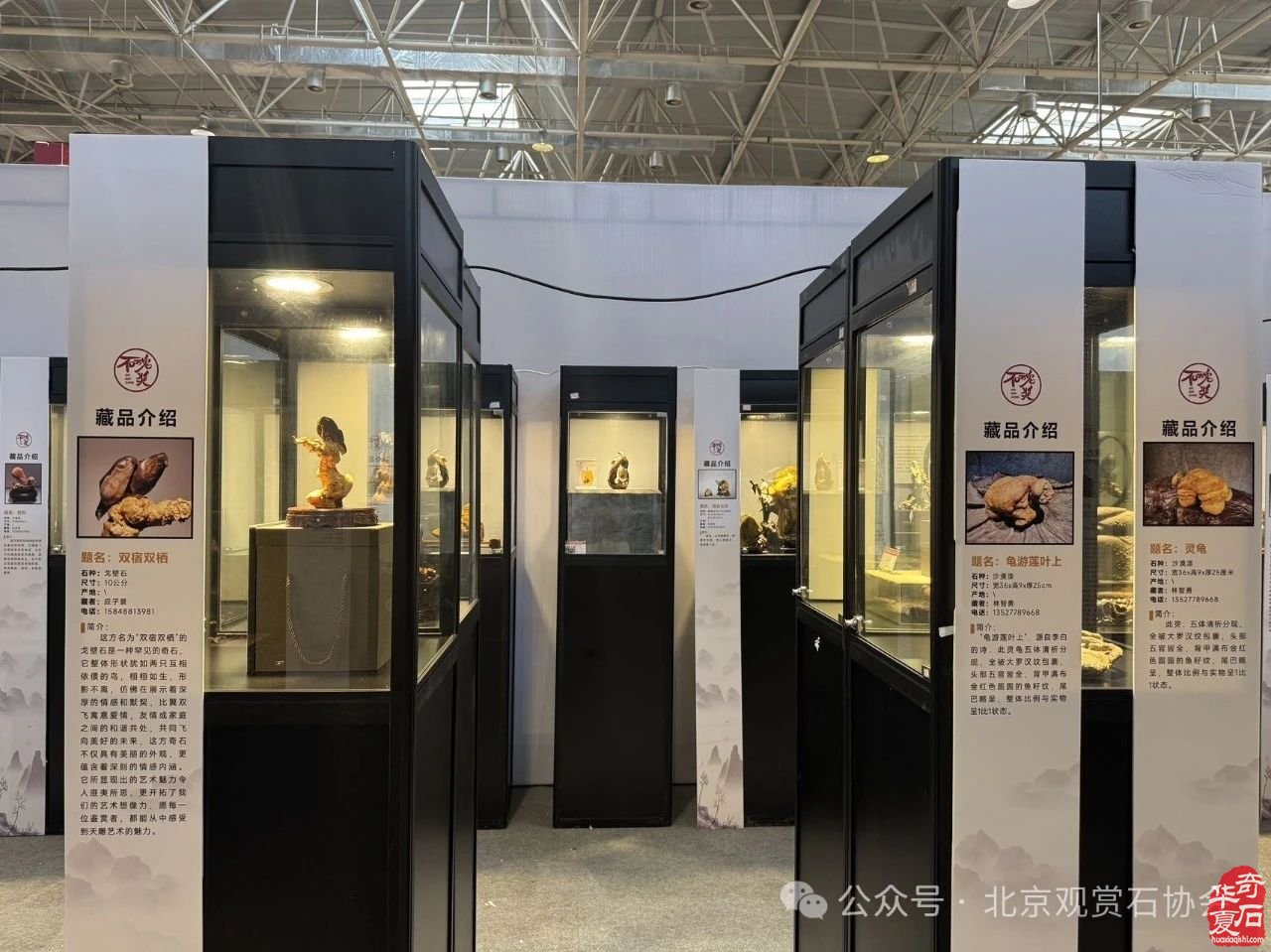 2024中国·湾区陈村名石艺术展隆重开幕