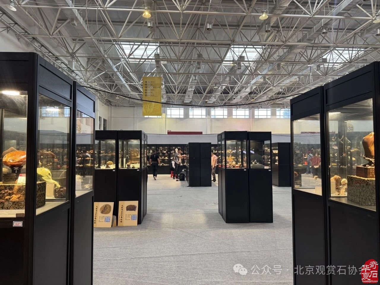 2024中国·湾区陈村名石艺术展隆重开幕