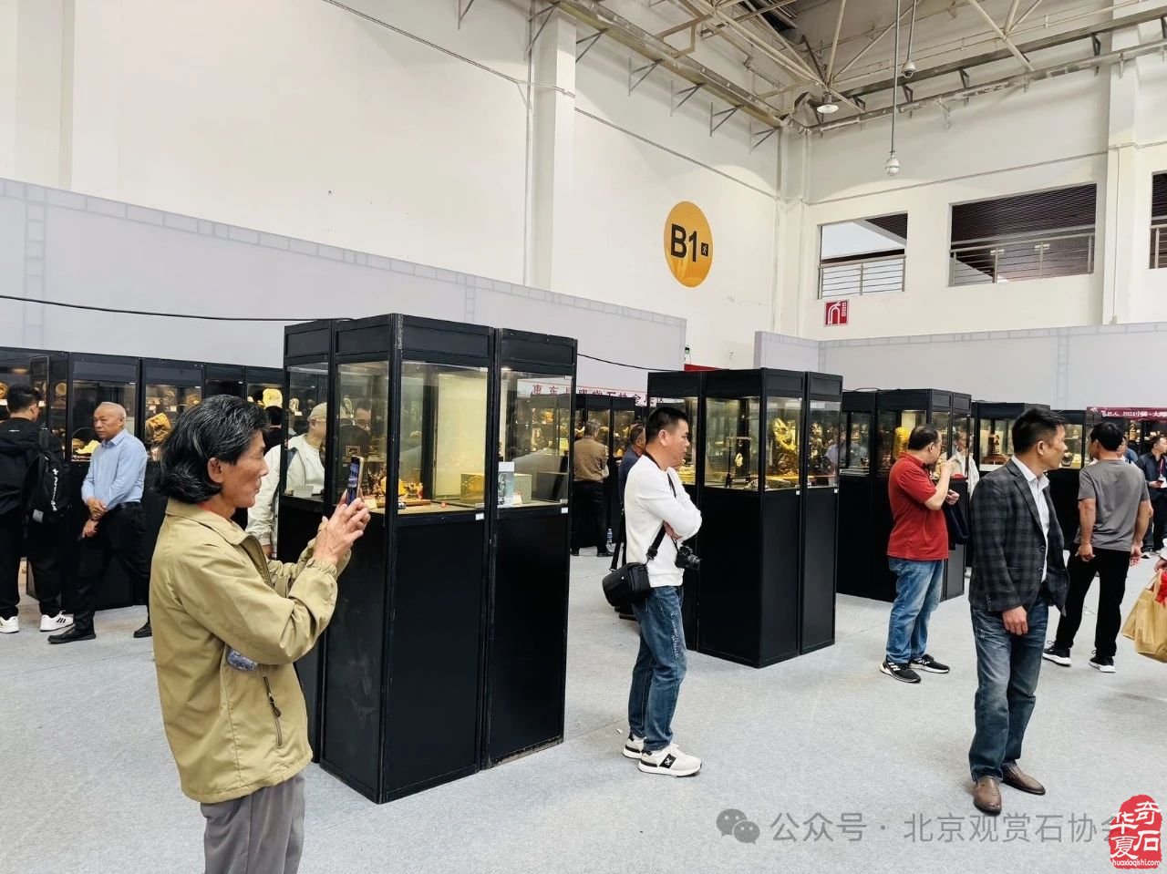 2024中国·湾区陈村名石艺术展隆重开幕