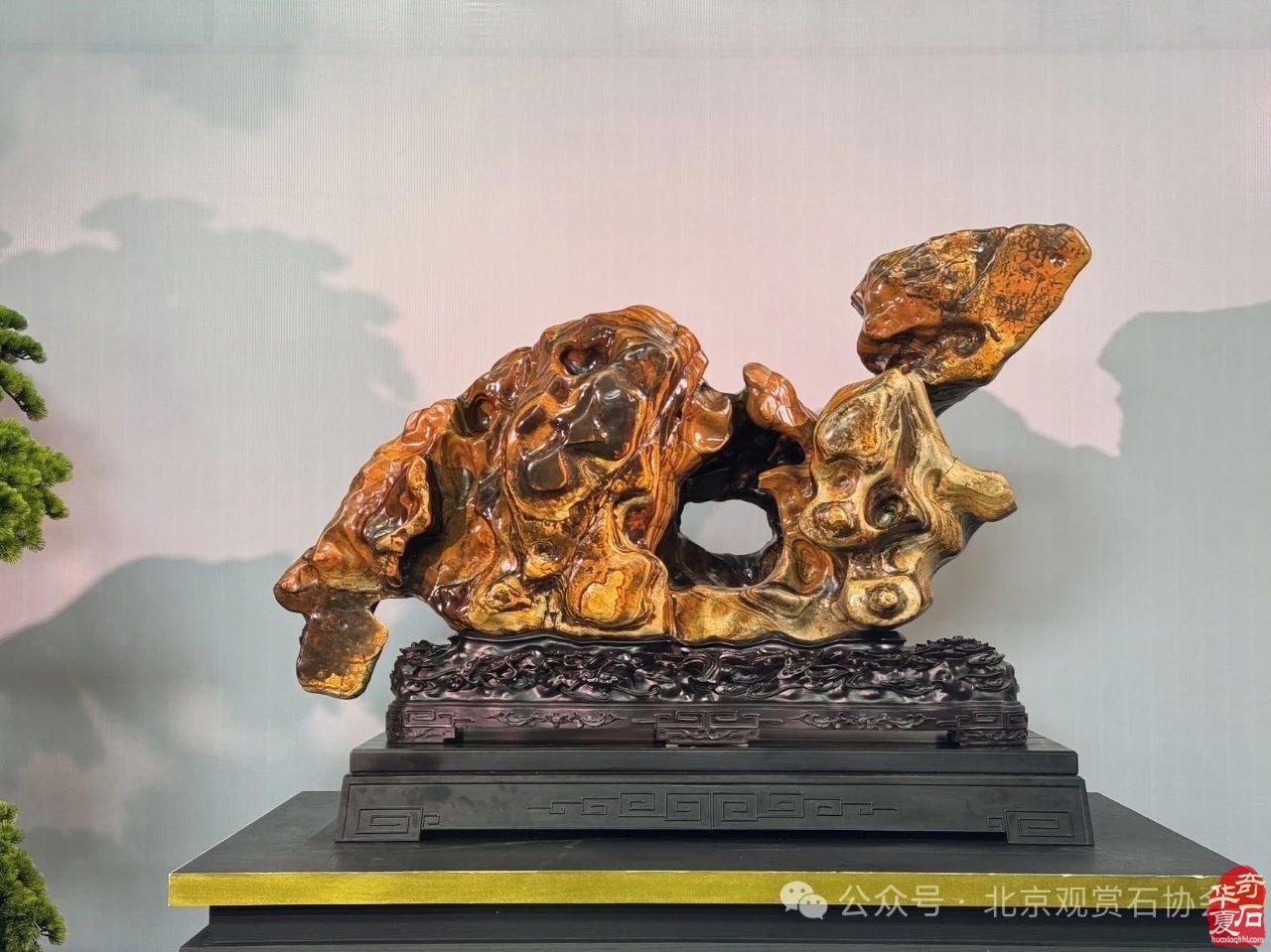 2024中国·湾区陈村名石艺术展隆重开幕