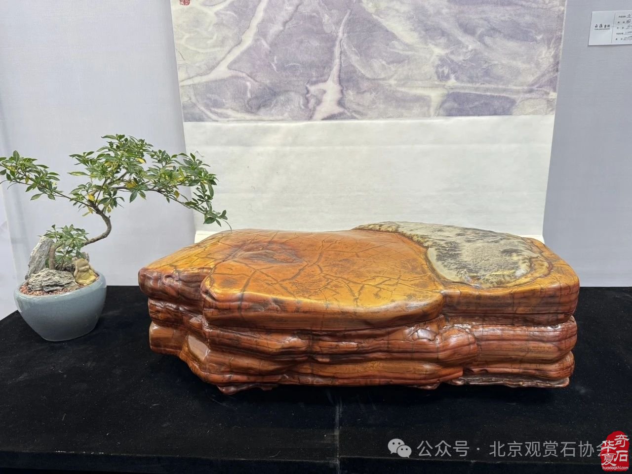 2024中国·湾区陈村名石艺术展隆重开幕